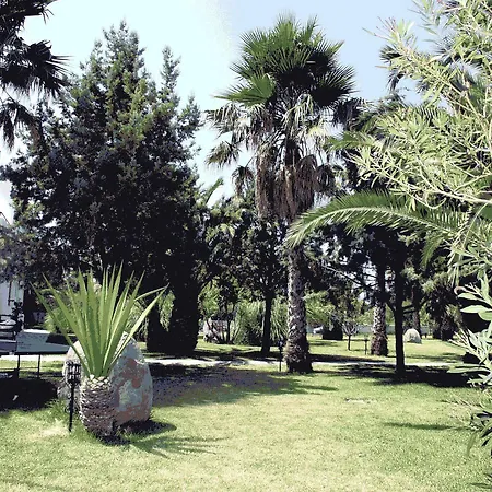 Diamond Boutique Hotell Kos